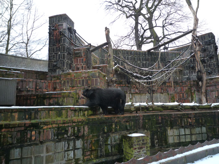 Deutschland-Zoo Leipzig_a0091329_13244765.jpg