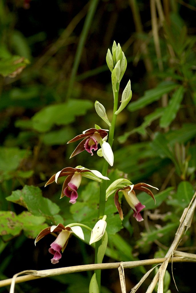 d0053930_713487.jpg