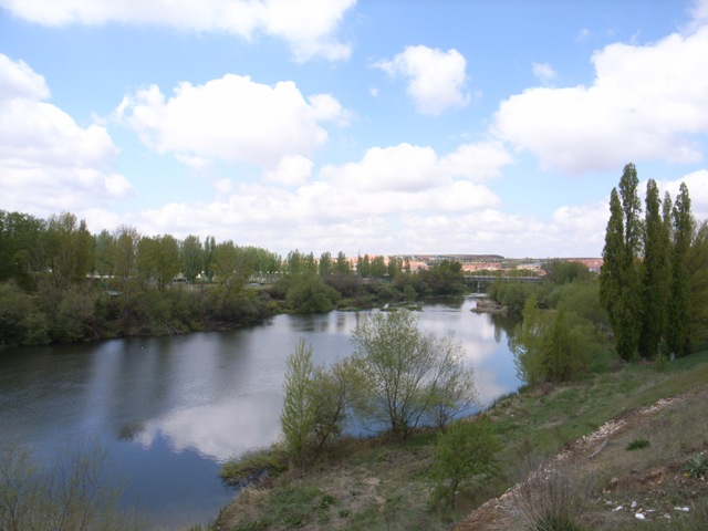 c0097932_1713261.jpg