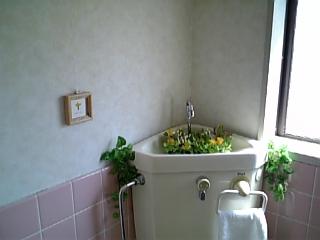 トイレの模様替え_e0145332_2324261.jpg