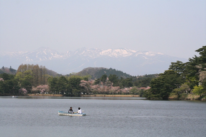 花だより_d0012134_10314521.jpg