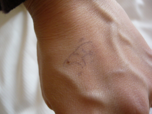 d0044239_2014412.jpg