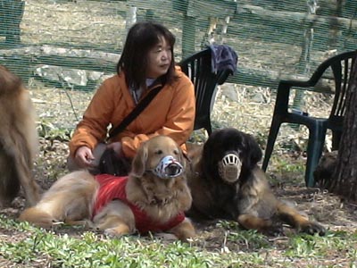 e0023643_1744322.jpg