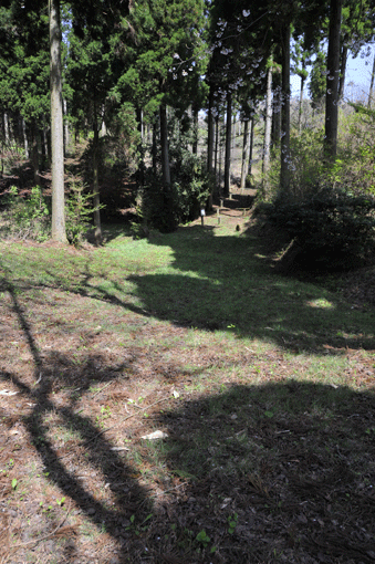 c0093046_8493140.gif