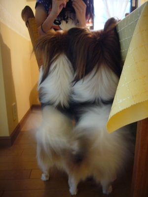 e0100046_16262675.jpg