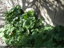 f0023446_0191498.jpg