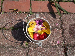 f0023446_02852.jpg