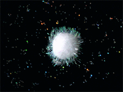 e0005548_10452683.gif