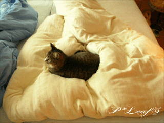 c0176651_14454038.gif