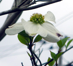 c0155853_14412958.jpg
