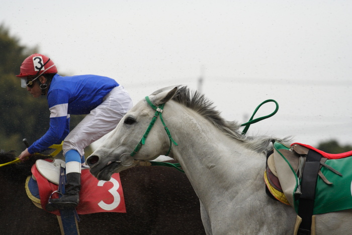 2009年3月28日（土） 高知競馬 2R D9 レース_a0077663_8152451.jpg