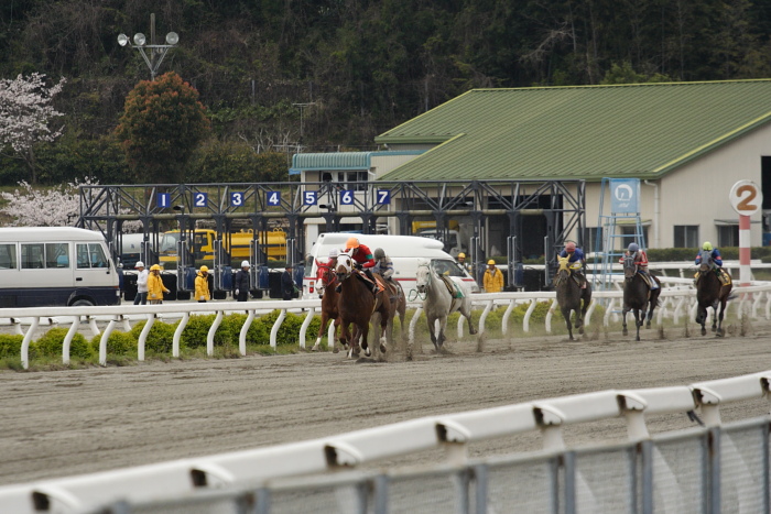 2009年3月28日（土） 高知競馬 2R D9 レース_a0077663_8153296.jpg