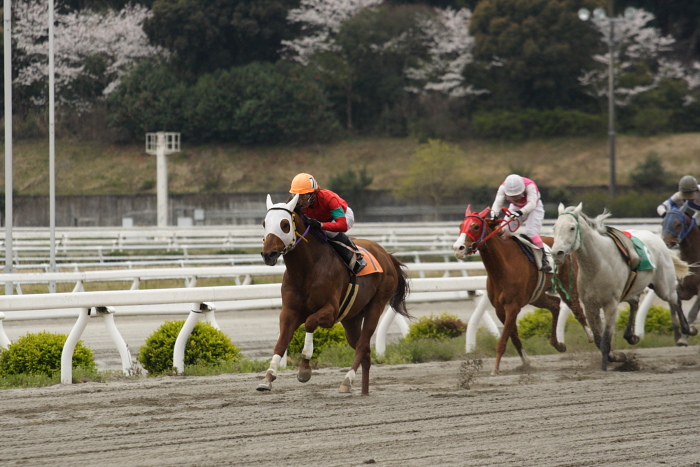 2009年3月28日（土） 高知競馬 2R D9 レース_a0077663_8153968.jpg
