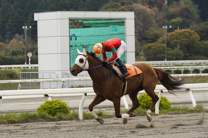 2009年3月28日(土) 高知競馬 2R D9 レース_a0077663_81547100.jpg
