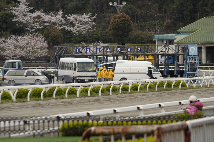 2009年3月28日(土) 高知競馬 2R D9 レース_a0077663_8161275.jpg