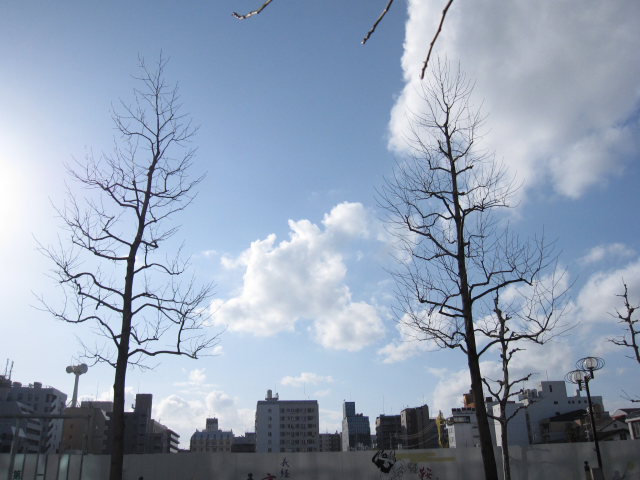 b0055171_18443356.jpg