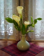 b0134673_2323091.jpg