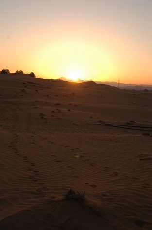 e0066474_073399.jpg
