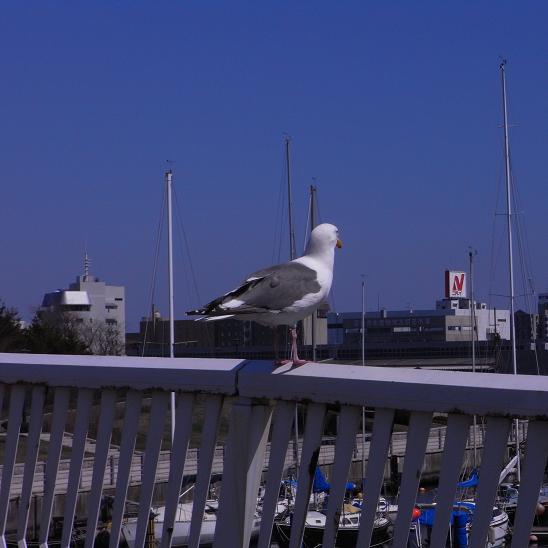 d0043280_18249.jpg
