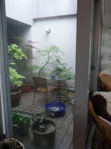 2009年4月25日 カタログこわ~い_b0098584_15322642.jpg