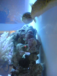 f0091785_11353346.jpg