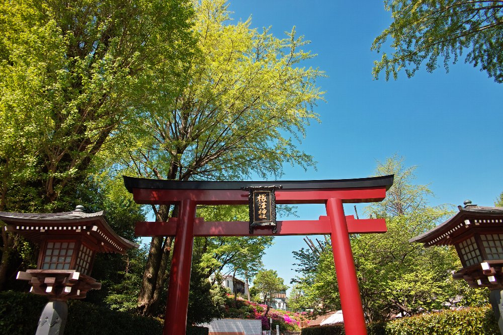 根津神社、行って来たよ!_c0124795_1255343.jpg