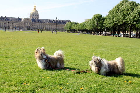 c0090198_2345485.jpg