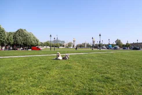 c0090198_2363218.jpg