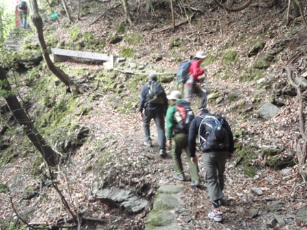 宮の谷~池小屋山~江股ノ頭縦走 20090422_c0147398_21352625.jpg