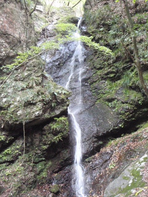 宮の谷~池小屋山~江股ノ頭縦走 20090422_c0147398_21354746.jpg