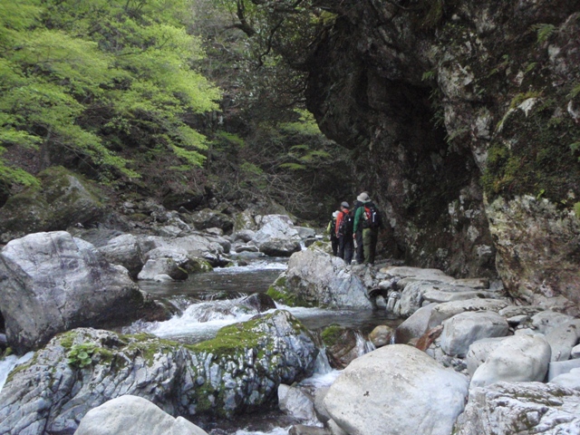 宮の谷~池小屋山~江股ノ頭縦走 20090422_c0147398_21355532.jpg