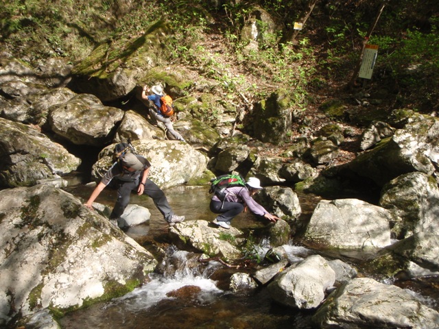 宮の谷~池小屋山~江股ノ頭縦走 20090422_c0147398_21361110.jpg
