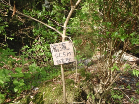 宮の谷~池小屋山~江股ノ頭縦走 20090422_c0147398_21362547.jpg
