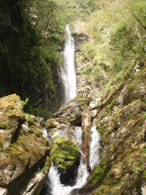 宮の谷~池小屋山~江股ノ頭縦走 20090422_c0147398_21363294.jpg