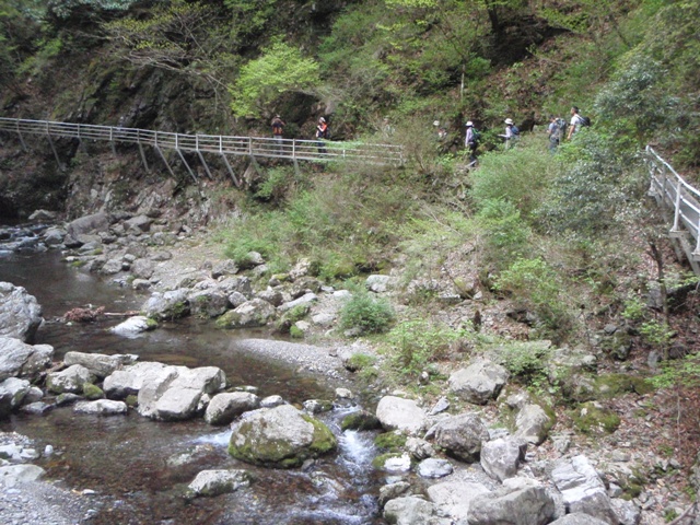 宮の谷~池小屋山~江股ノ頭縦走 20090422_c0147398_2136365.jpg