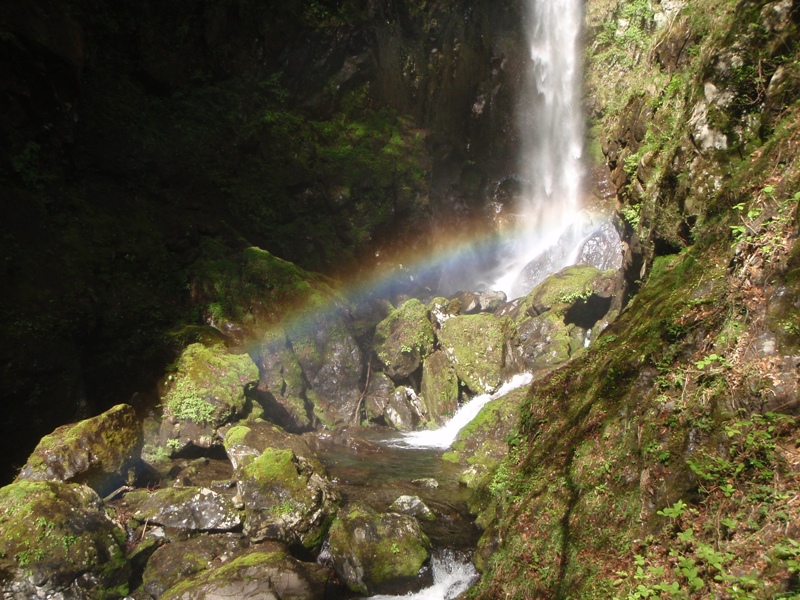 宮の谷~池小屋山~江股ノ頭縦走 20090422_c0147398_21364118.jpg
