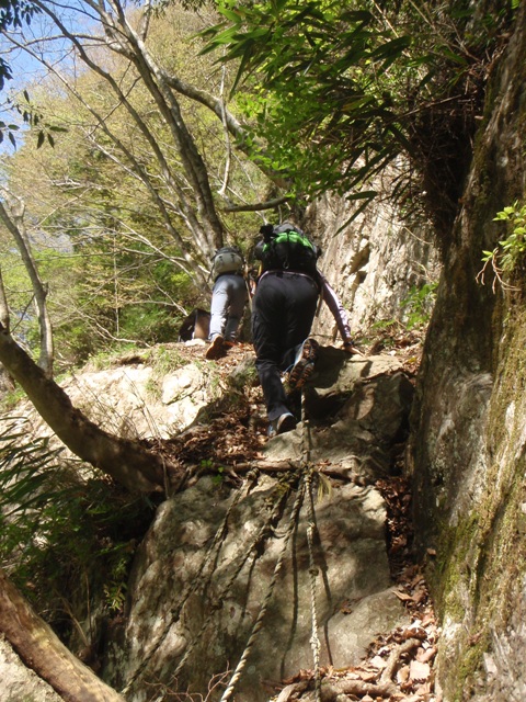 宮の谷~池小屋山~江股ノ頭縦走 20090422_c0147398_21372436.jpg