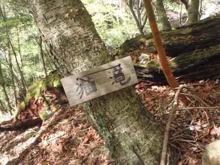 宮の谷~池小屋山~江股ノ頭縦走 20090422_c0147398_21373649.jpg
