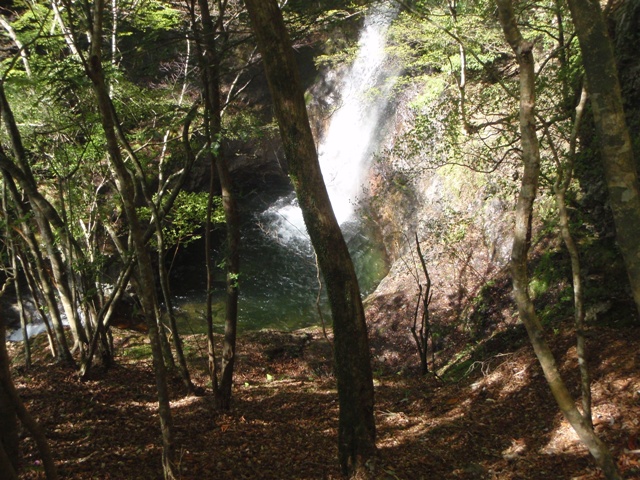 宮の谷~池小屋山~江股ノ頭縦走 20090422_c0147398_21375095.jpg