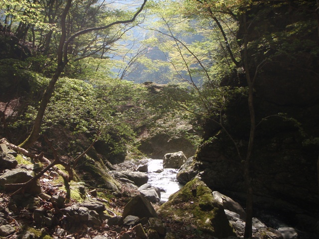 宮の谷~池小屋山~江股ノ頭縦走 20090422_c0147398_21375972.jpg