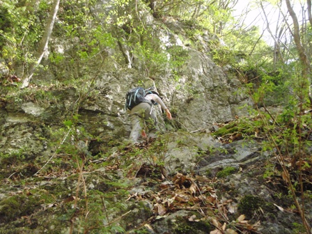 宮の谷~池小屋山~江股ノ頭縦走 20090422_c0147398_2137933.jpg