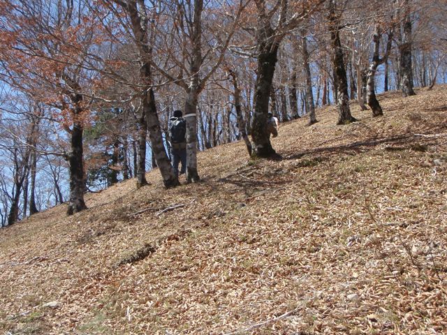 宮の谷~池小屋山~江股ノ頭縦走 20090422_c0147398_21382779.jpg