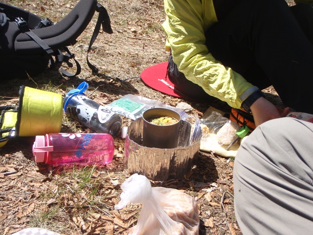 宮の谷~池小屋山~江股ノ頭縦走 20090422_c0147398_21433157.jpg