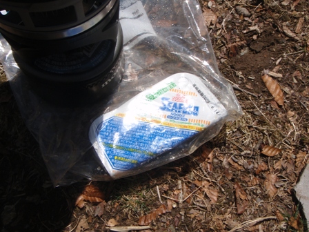 宮の谷~池小屋山~江股ノ頭縦走 20090422_c0147398_21433940.jpg