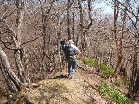 宮の谷~池小屋山~江股ノ頭縦走 20090422_c0147398_21444852.jpg