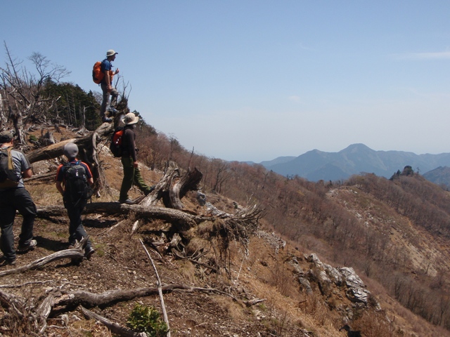 宮の谷~池小屋山~江股ノ頭縦走 20090422_c0147398_21445632.jpg