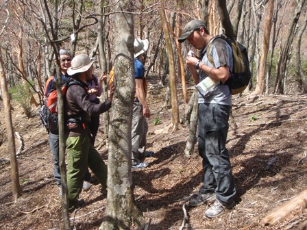 宮の谷~池小屋山~江股ノ頭縦走 20090422_c0147398_21451559.jpg