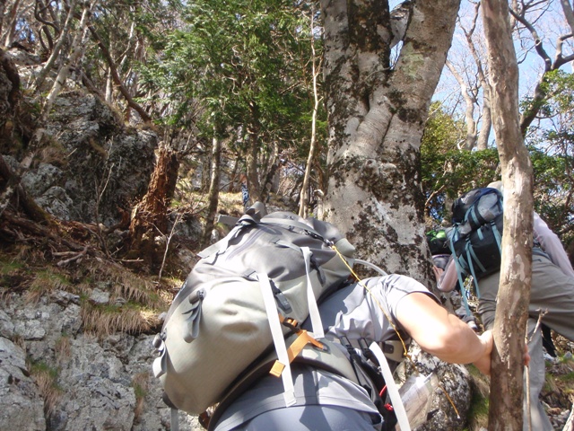 宮の谷~池小屋山~江股ノ頭縦走 20090422_c0147398_2145244.jpg