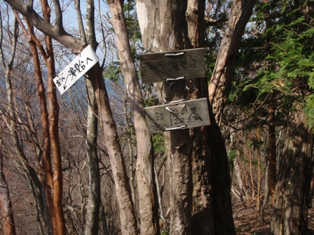 宮の谷~池小屋山~江股ノ頭縦走 20090422_c0147398_21454484.jpg