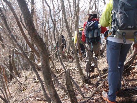 宮の谷~池小屋山~江股ノ頭縦走 20090422_c0147398_21455355.jpg